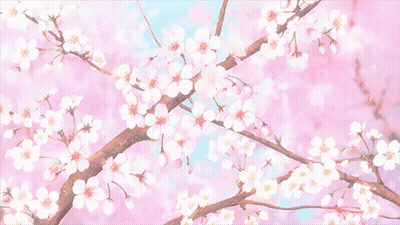 A Tree Branch With Pink Flowers On It GIF