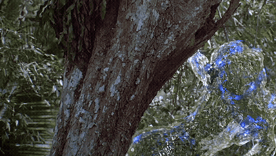 A Tree In A Forest With A Blue Bubble In The Background GIF