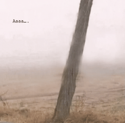 A Tree In The Middle Of A Field With The Word Aaaa Written On The Bottom GIF