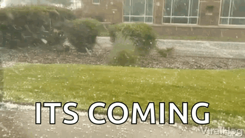 A Tree Is Being Blown Over By A Storm And The Words `` It 'S Coming '' Are Visible . GIF