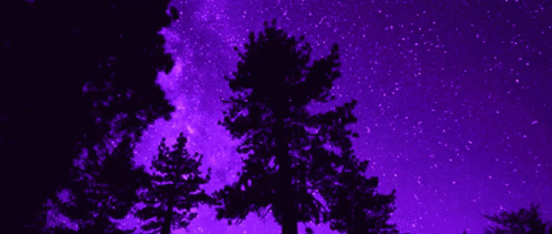 A Tree Is Silhouetted Against A Purple Starry Sky GIF