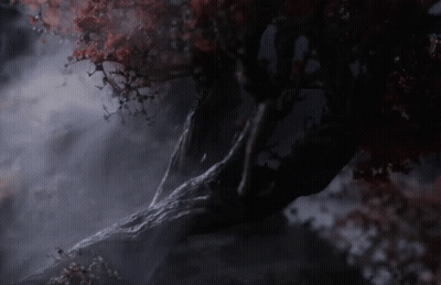 A Tree With Red Leaves Is In The Dark GIF