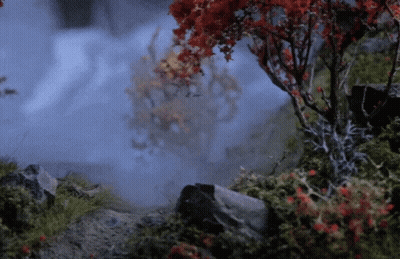 A Tree With Red Leaves Is Surrounded By Rocks And Moss GIF