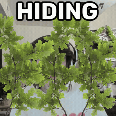 A Tree With The Word Hiding On It GIF