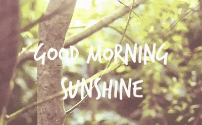 A Tree With The Words `` Good Morning Sunshine '' Written On It . GIF