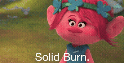 A Troll With Flowers In Her Hair Is Standing In A Field With The Words `` Solid Burn '' Written Below Her . GIF