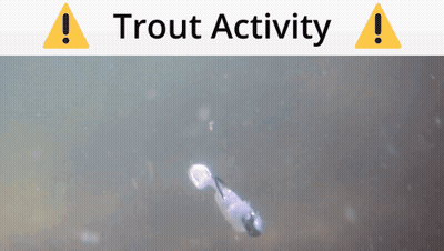 A Trout Activity Warning Sign With A Picture Of A Fish In The Water GIF