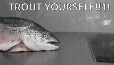 A Trout Is Laying On A Counter With The Words Trout Yourself !!! Written Above It GIF