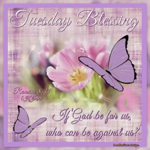 A Tuesday Blessing Greeting Card With Purple Butterflies And Pink Flowers GIF