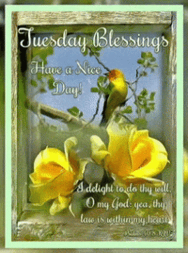 A Tuesday Blessings Have A Nice Day Card With Yellow Flowers And A Bird GIF