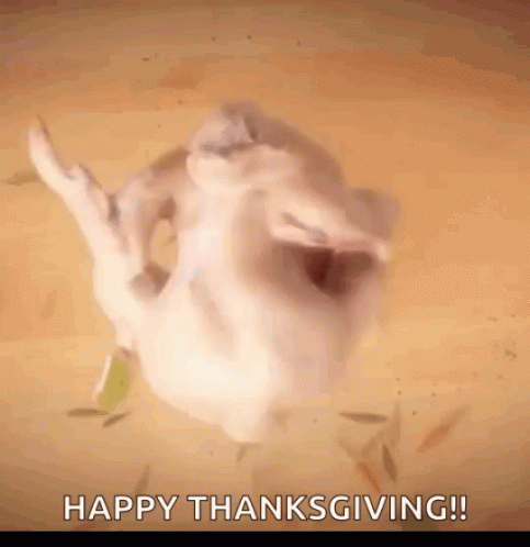 A Turkey Is Flying Through The Air With The Words Happy Thanksgiving Written Below It GIF