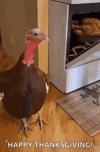 A Turkey Is Standing In Front Of A Stove . GIF