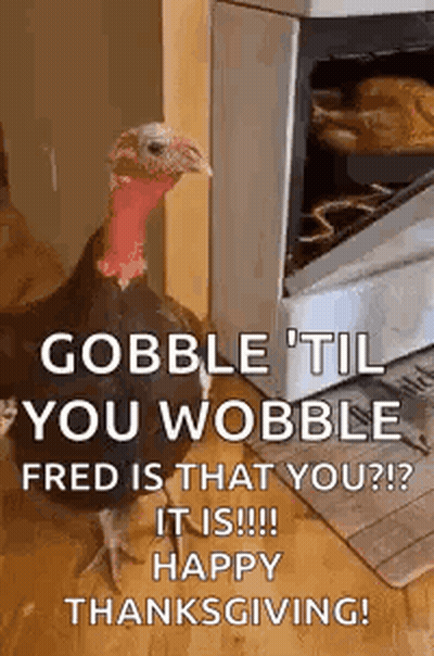 A Turkey Is Standing In Front Of A Stove With The Words `` Gobble 'Til You Wobble Fred Is That You ? '' GIF
