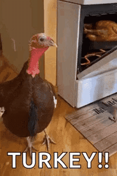 A Turkey Is Standing In Front Of An Oven With The Words `` Turkey !! '' Written On It . GIF