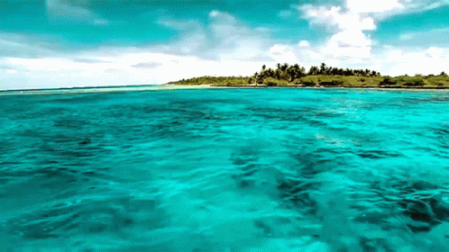 Turquoise Ocean With Small Island GIF