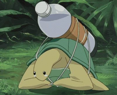 A Turtle Is Carrying A Bottle On Its Back GIF