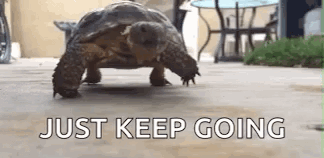 A Turtle Is Walking On A Sidewalk With The Words `` Just Keep Going '' Written On The Bottom . GIF