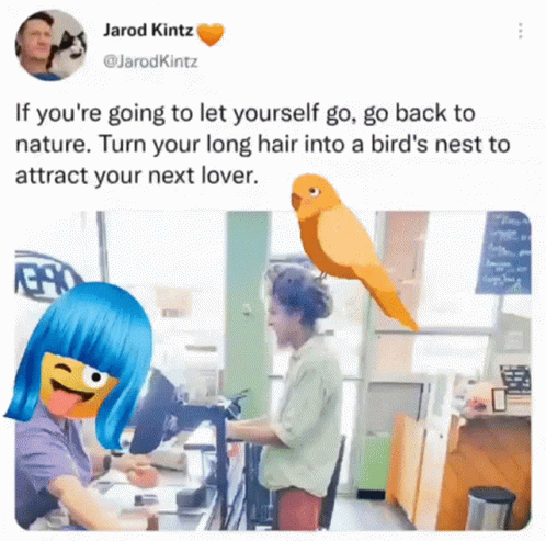 A Tweet By Jarod Kintz Shows A Woman And A Parrot GIF