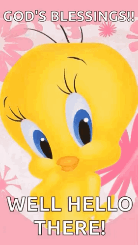 A Tweety Bird Is On A Pink Background And Says `` God 'S Blessings ! Well Hello There ! '' GIF