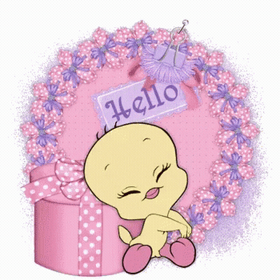 A Tweety Bird Is Sitting Next To A Pink Gift Box With A Hello Sign On It GIF