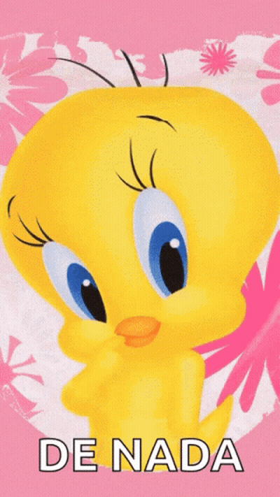 A Tweety Bird On A Pink Background With The Words De Nada GIF