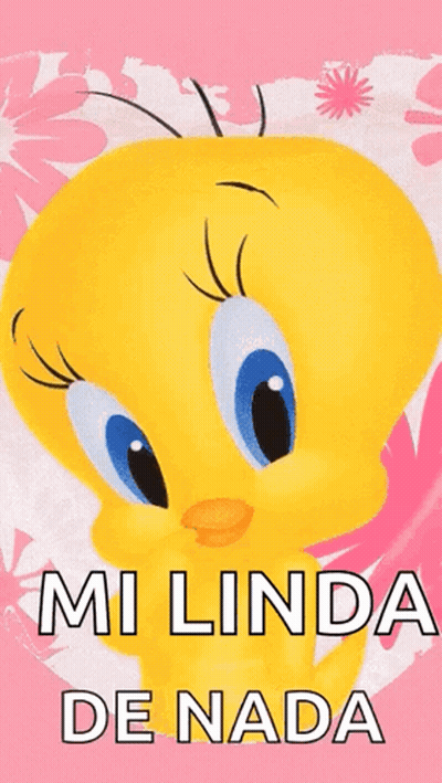 A Tweety Bird On A Pink Background With The Words " Mi Linda De Nada " GIF