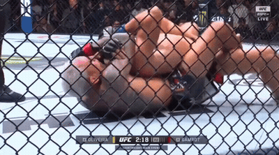 A Ufc Fight Between Oliveira And Gamrot Is Being Broadcast Live GIF