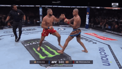 A Ufc Fight Between Pereira And Prochazka GIF