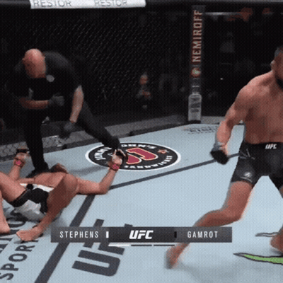 A Ufc Fight Between Stephens And Gamrot Is In Progress GIF