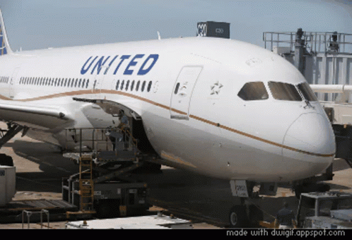 A United Airlines Plane Is Being Loaded With Cargo GIF