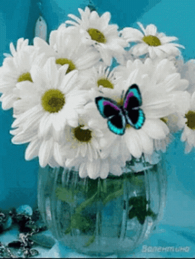 A Vase Filled With White Daisies With A Blue Butterfly On Top GIF