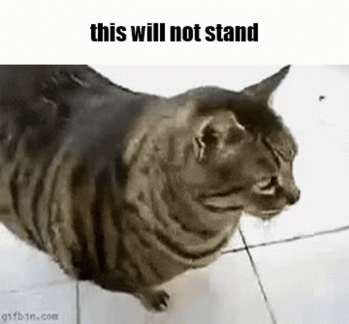 A Very Fat Cat Is Standing On A Tiled Floor . GIF