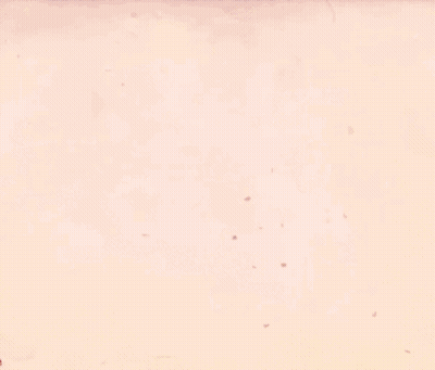 A Video Game Character Is Holding A Gun And The Word Kisse Is Above Her Head GIF