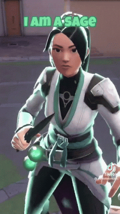 A Video Game Character Is Holding A Sword And Says `` I Am A Sage '' While Standing On A Street . GIF
