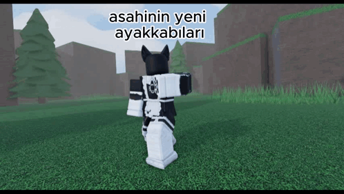 A Video Game Character Is Standing In A Grassy Field With The Words " Asahinin Yeni Ayakkabilari " On The Bottom GIF