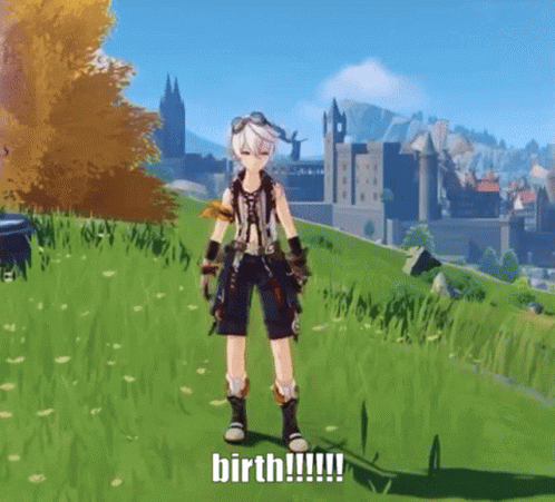 A Video Game Character Is Standing In A Grassy Field With The Words Birth Written On The Ground . GIF