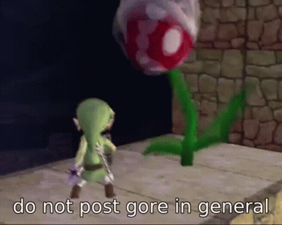 A Video Game Character Is Standing Next To A Plant With The Words `` Do Not Post Gore In General '' . GIF