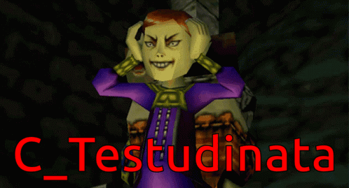 A Video Game Character Is Standing Next To A Skull And The Words C_testudinata Are Above Him GIF