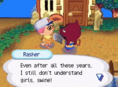 A Video Game Character Named Rasher Says " Even After All These Years I Still Don T Understand Girls Swine " GIF