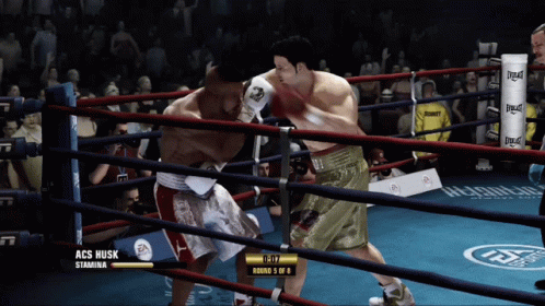 A Video Game Shows A Boxing Match Between Acs Husk And A Man GIF