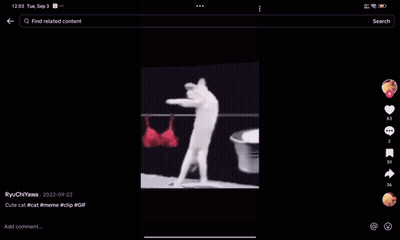 A Video Of A Cat In A Bucket Is Being Viewed On A Tablet GIF