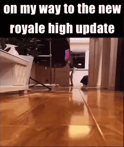 A Video Of A Cat Walking On A Wooden Floor With The Caption On My Way To The New Royale High Update . GIF