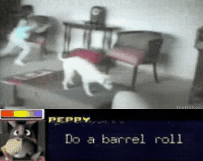 A Video Of A Dog Playing A Video Game With The Words " Do A Barrel Roll " GIF