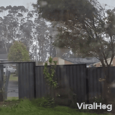 A Video Of A Fence With The Words Viralhog Written On The Bottom GIF