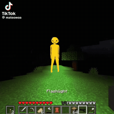 A Video Of A Flashlight Being Used In A Minecraft Game GIF