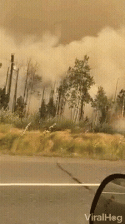 A Video Of A Forest Fire Is Being Shared By Viralhog GIF