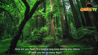 A Video Of A Forest With The Words " How Are You Neeli " GIF
