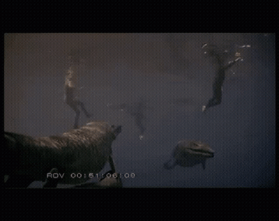 A Video Of A Group Of People Swimming Underwater With The Time 00 : 51 : 09 : 03 At The Bottom GIF