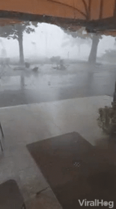 A Video Of A Hurricane Is Being Shared On Viralhog GIF