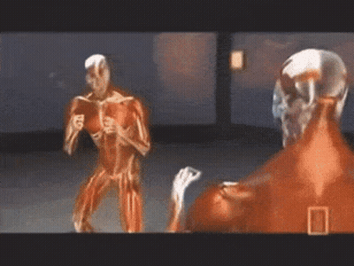 A Video Of A Man 'S Muscles Is Shown On National Geographic Channel GIF